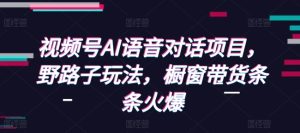 视频号AI语音对话项目,野路子玩法,橱窗带货条条火爆-热点1站 - 热点知汇专注网赚项目资源知识聚汇