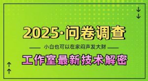 2025问卷调查最新工作室技术解密：一个人在家也可以闷声发大财，小白一天2张，可矩阵放大-热点1站 - 热点知汇专注网赚项目资源知识聚汇