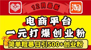 12月最新：电商平台1元打爆创业粉，简单粗暴日引500+精准创业粉，轻松月入过W-热点1站 - 热点知汇专注网赚项目资源知识聚汇