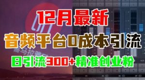 12月最新：音频平台0成本引流，日引流300+精准创业粉-热点1站 - 热点知汇专注网赚项目资源知识聚汇