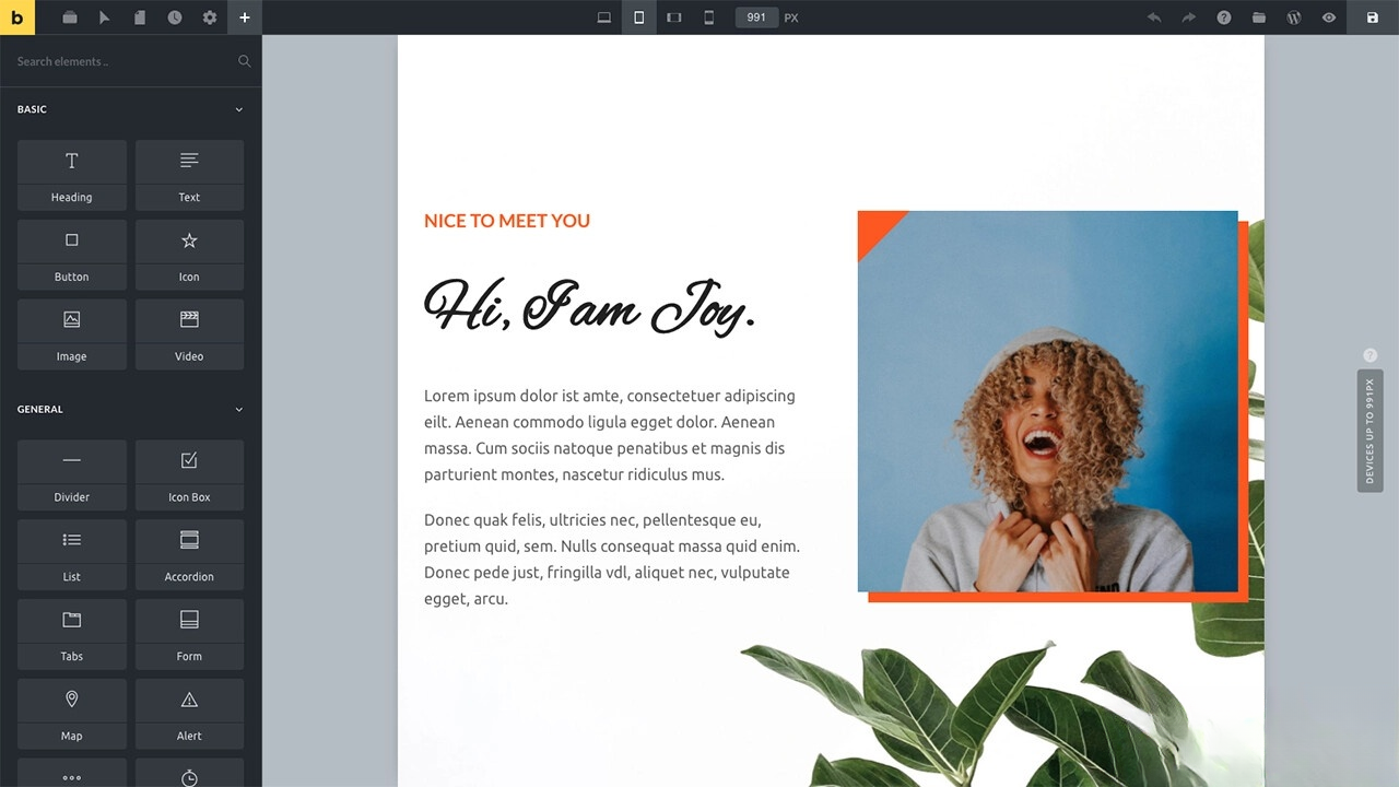 WordPress主题Bricks v1.9 破解版-热点1站 - 热点知汇专注网赚项目资源知识聚汇