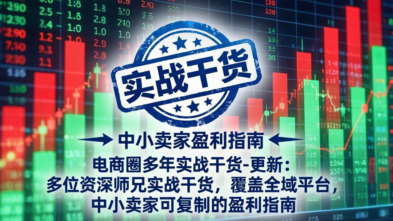 电商圈多年实战干货-更新5月10：多位资深师兄实战干货/覆盖全域平台，中小卖家可复制的盈利指南-热点1站 - 热点知汇专注网赚项目资源知识聚汇