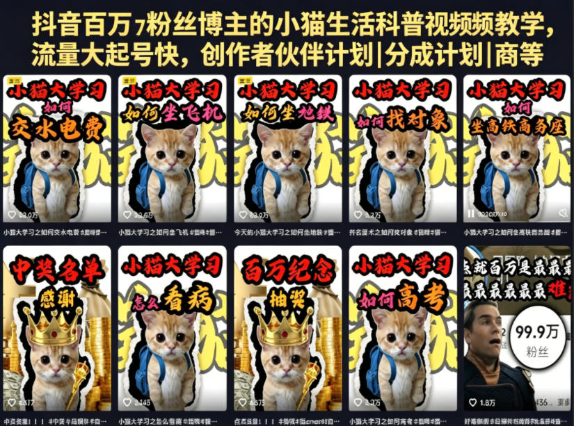 抖音百万粉丝博主的小猫生活科普视频教学，流量大起号快，创作者伙伴计划|分成计划|商单|收徒等-热点1站 - 热点知汇专注网赚项目资源知识聚汇