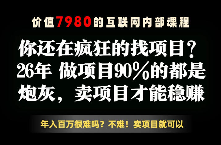 26年请不要疯狂的找项目了，卖项目远比你想象的暴利，你也可以月入10W+【揭秘】-热点1站 - 热点知汇专注网赚项目资源知识聚汇