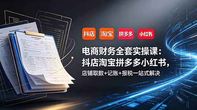 电商财务全套实操课：抖店淘宝拼多多小红书，店铺取数+记账+报税一站式解决-热点1站 - 热点知汇专注网赚项目资源知识聚汇