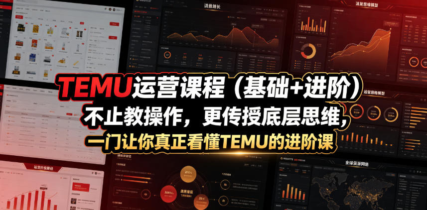 TEMU运营课程(基础+进阶)，不止教操作，更传授底层思维，一门让你真正看懂TEMU的进阶课-热点1站 - 热点知汇专注网赚项目资源知识聚汇